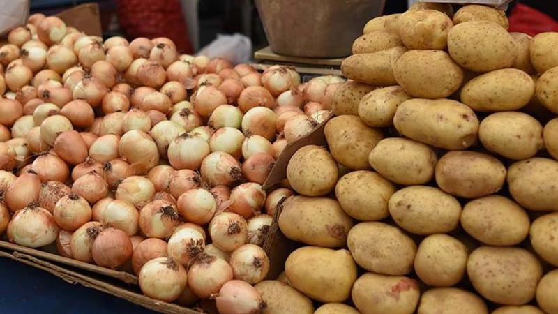 Patates soğanda ihracatı yasaklamak yerine kısıtlama yapılmalı