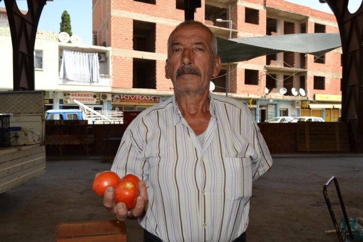 Çine’de Kışlık Domates Satışı Başladı