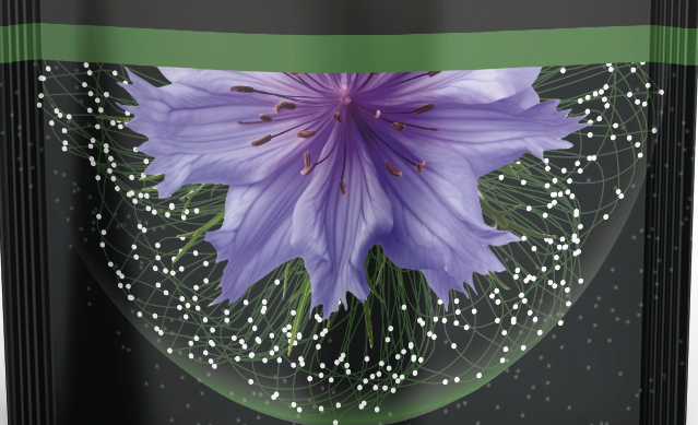 KAHVE İÇEREK BAĞIŞIKLIĞINIZI GÜÇLENDİRİN