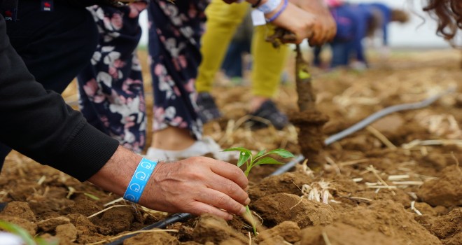 “Faydam Dokunsun” diyorsanız Dayanışma Paketi ile harekete geçin