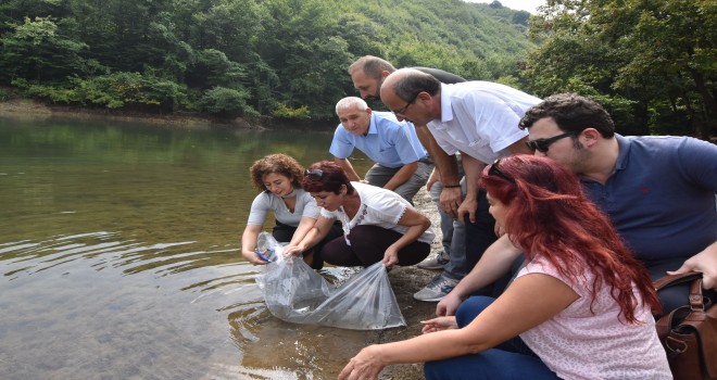 İstanbul’daki göletlere 111 bin sazan yavrusu bırakıldı