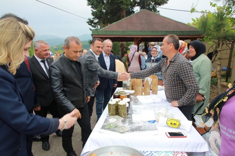 Fatsa’da eğitim şenliği