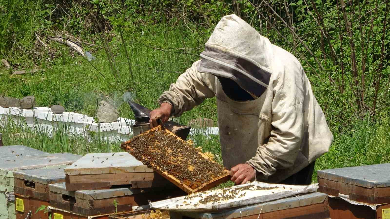 Ordu balı 55 ülkeye ihraç ediliyor