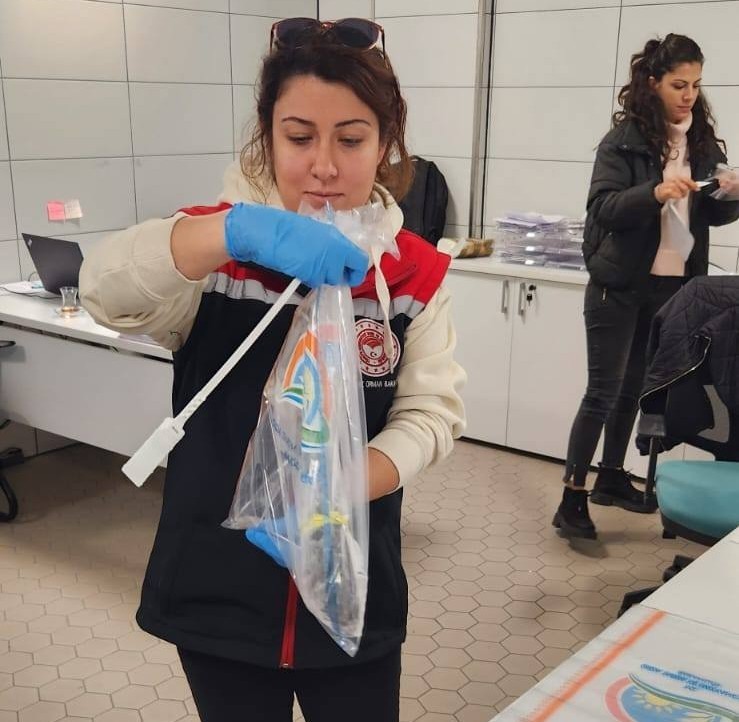 Söke’nin tarımsal kayıtlılık oranı dikkat çekti