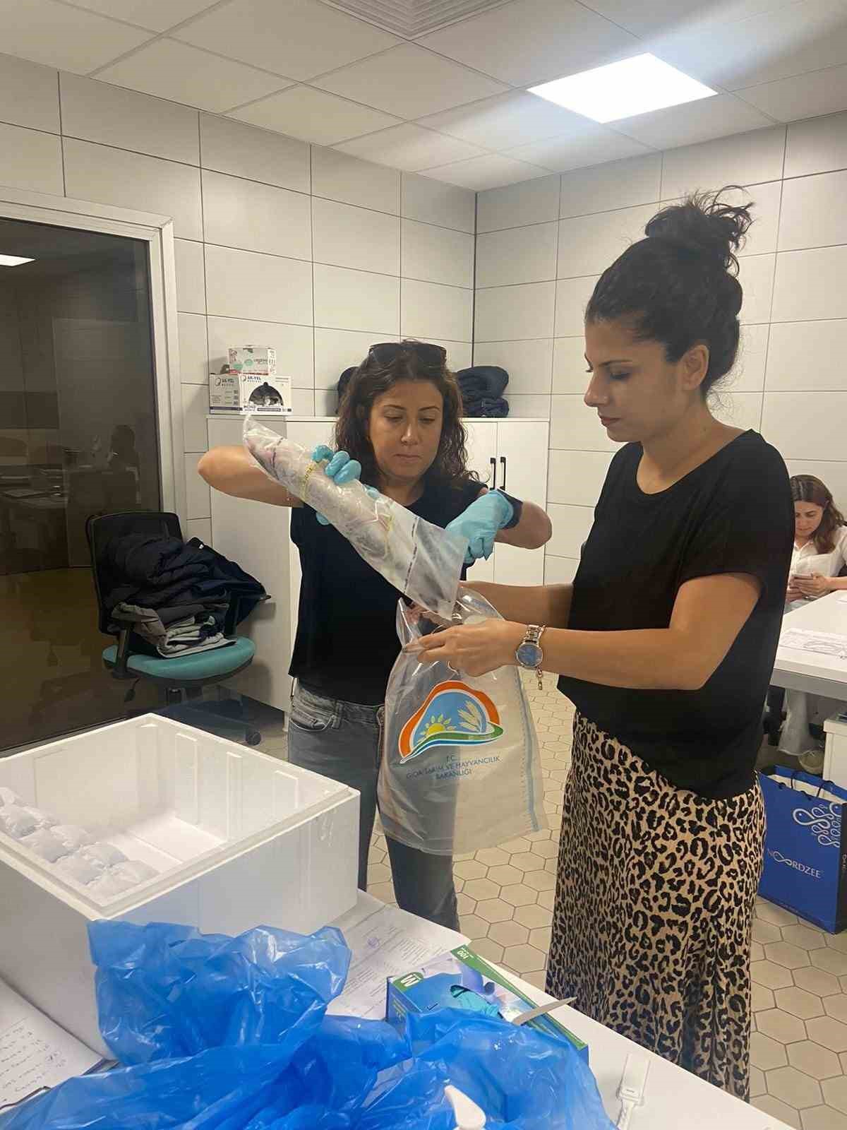 Söke’nin tarımsal kayıtlılık oranı dikkat çekti